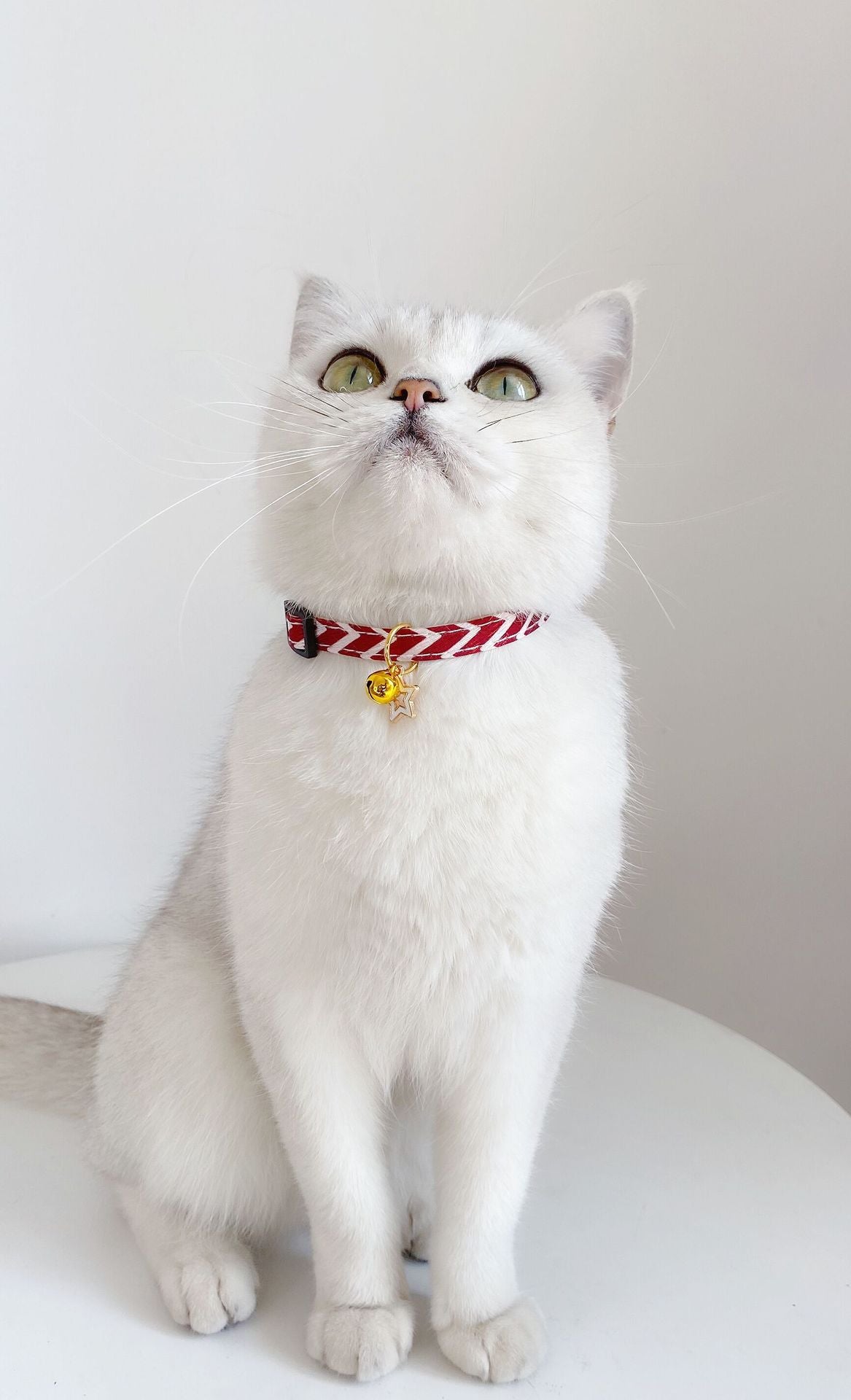 Pentagram Geometry Striped Bell Adjustable Pet Collar