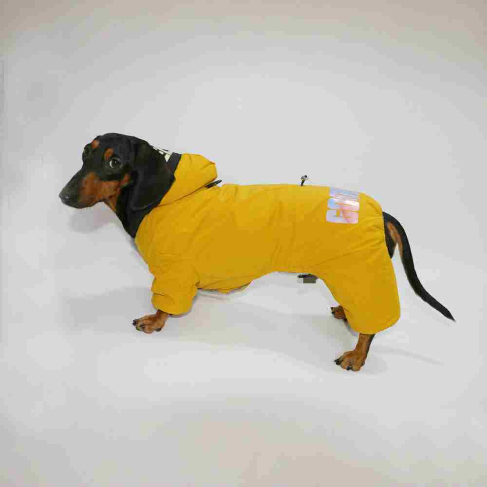 Dog Cat Winter Warm Thickened Outdoor Four-legged Pet Clothing