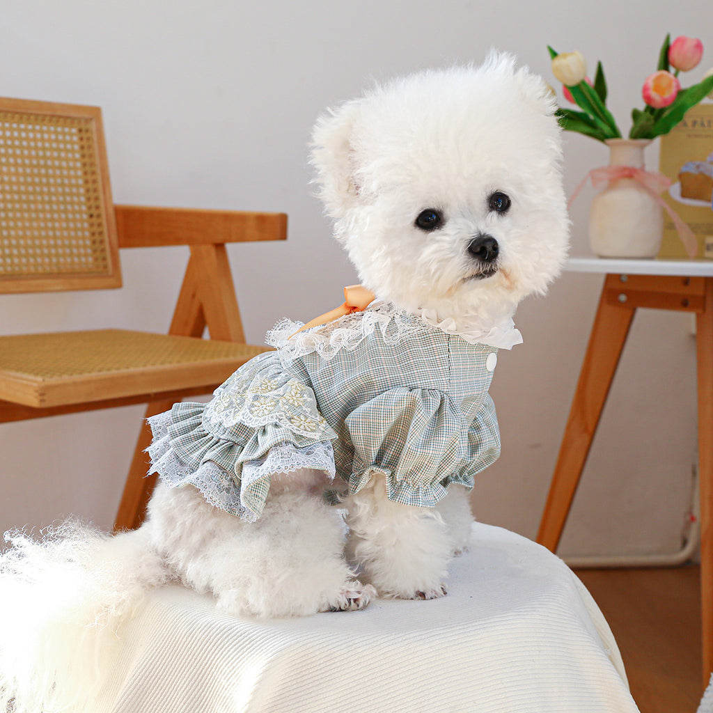 Court-style Cute Small Dog Lace Skirt