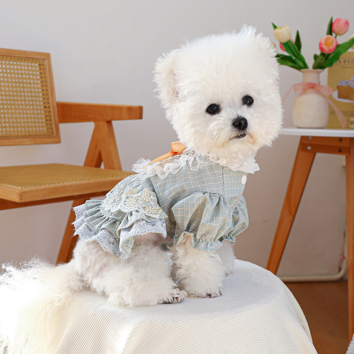 Court-style Cute Small Dog Lace Skirt