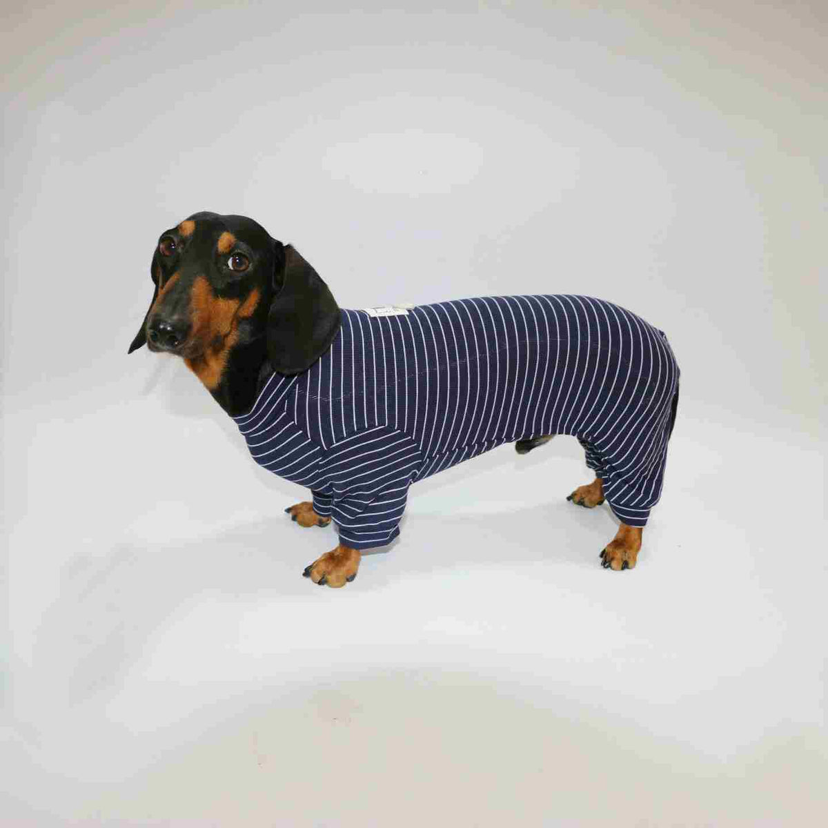 Thin Striped Dog Cat Pet Clothes
