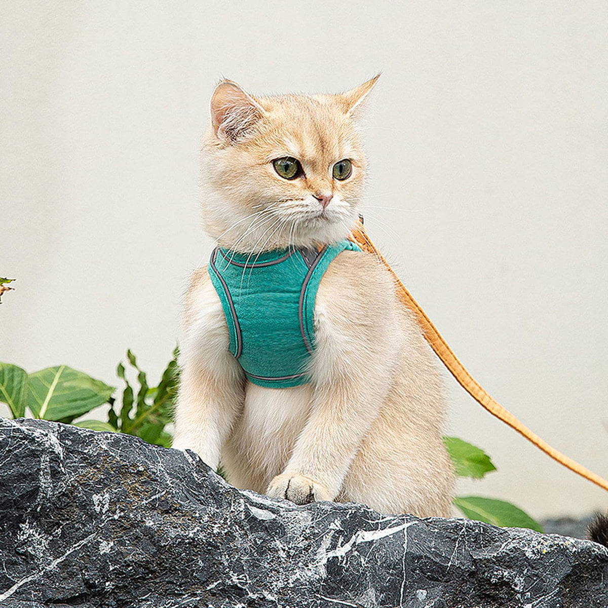 Cat Harness And Leash, Cat Harness Escape Proof, Soft Adjustable Cat Leash Breathable Comfortable Vest Easy To Wear, Easy Walk Leash For Small Medium