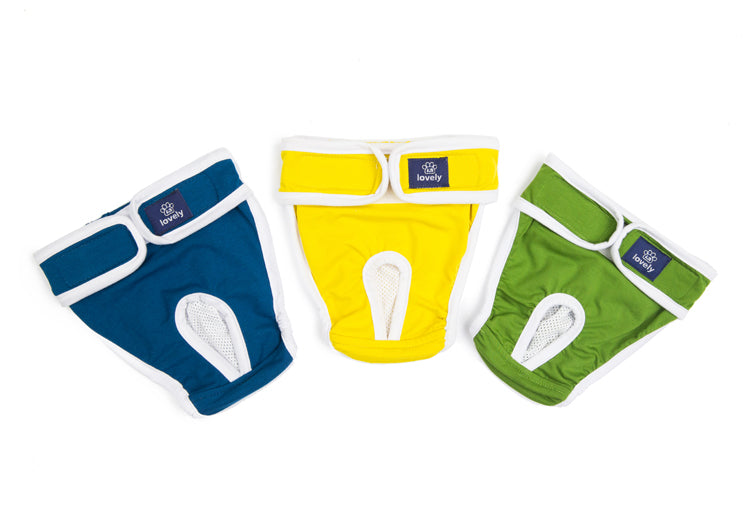 Menstrual Period Anti-harassment Pet Physiological Pants