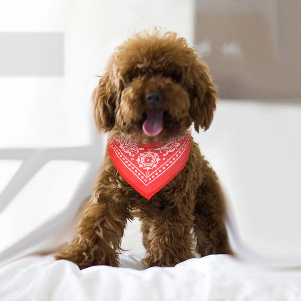 Adjustable Bandana Leather Pet Collar Triangle Scarf