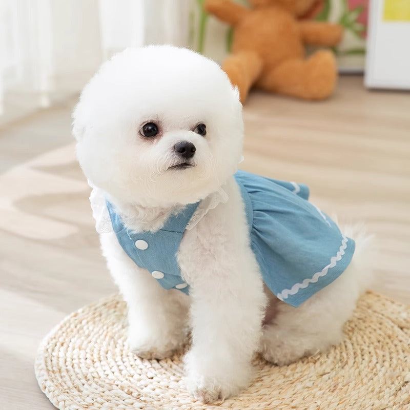 Strawberry Traction Denim Skirt Dog Clothes