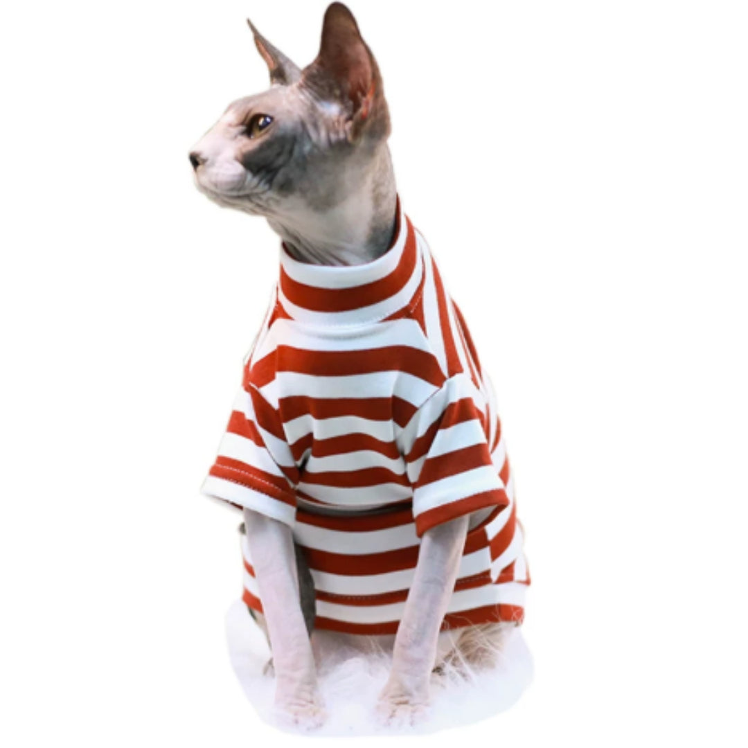 Hairless Cat Sphinx Clothes German Cat Stripes
