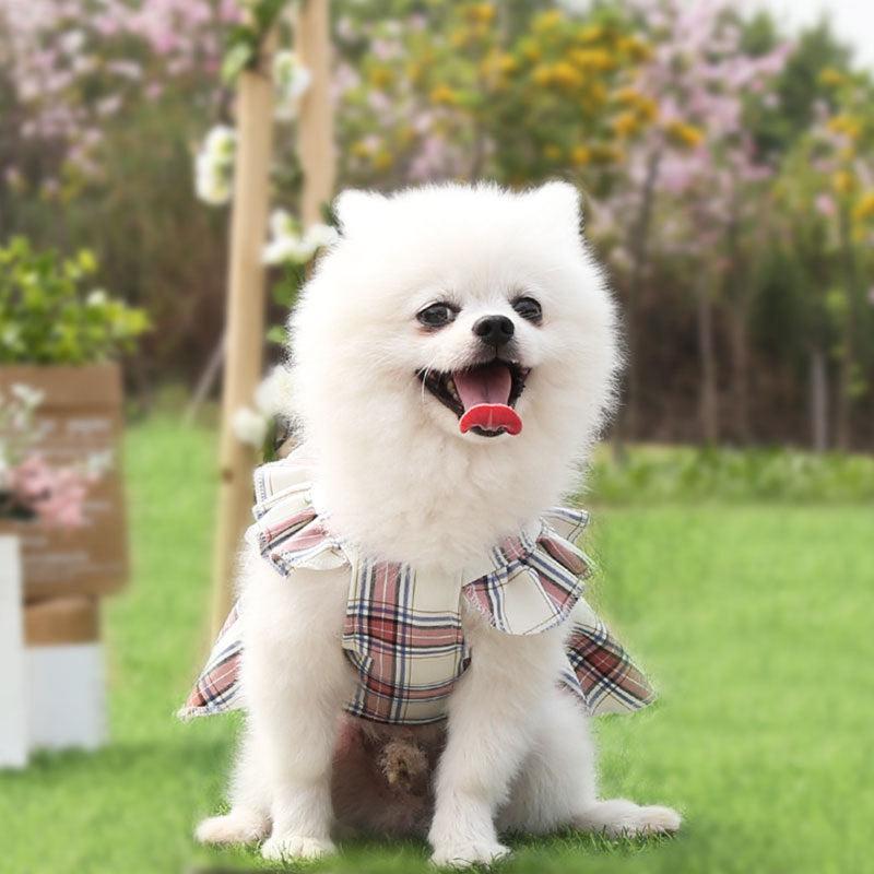 Small And Medium-sized Clothes Walking The Dog Princess