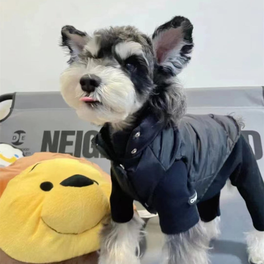Dogs' Winter Warmth With Thick Cotton Vests