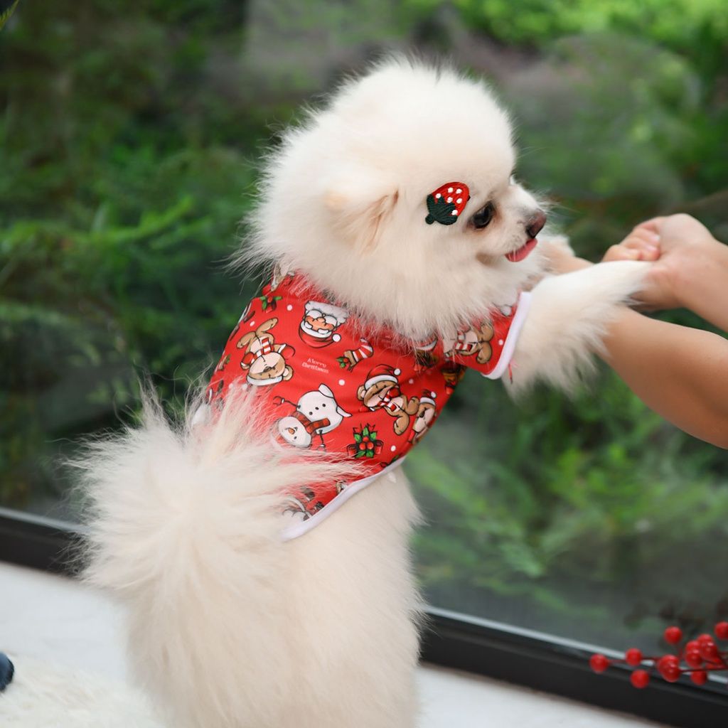New Pet Clothinguniversal For Cats And Dogs