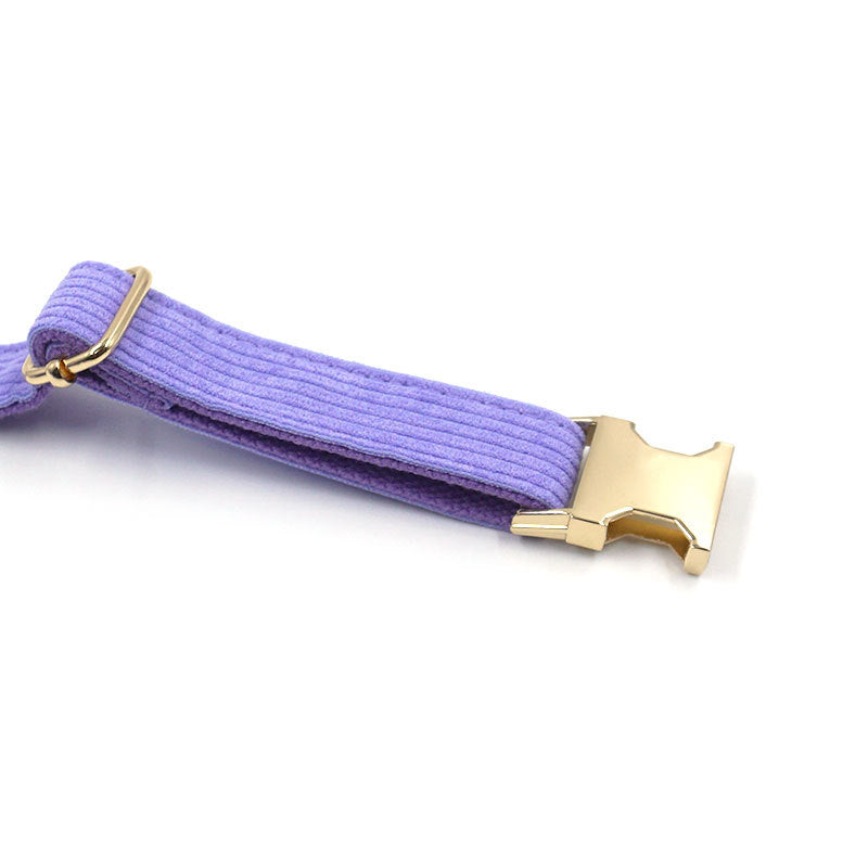 Simple Taro Purple Velvet Dog Collar