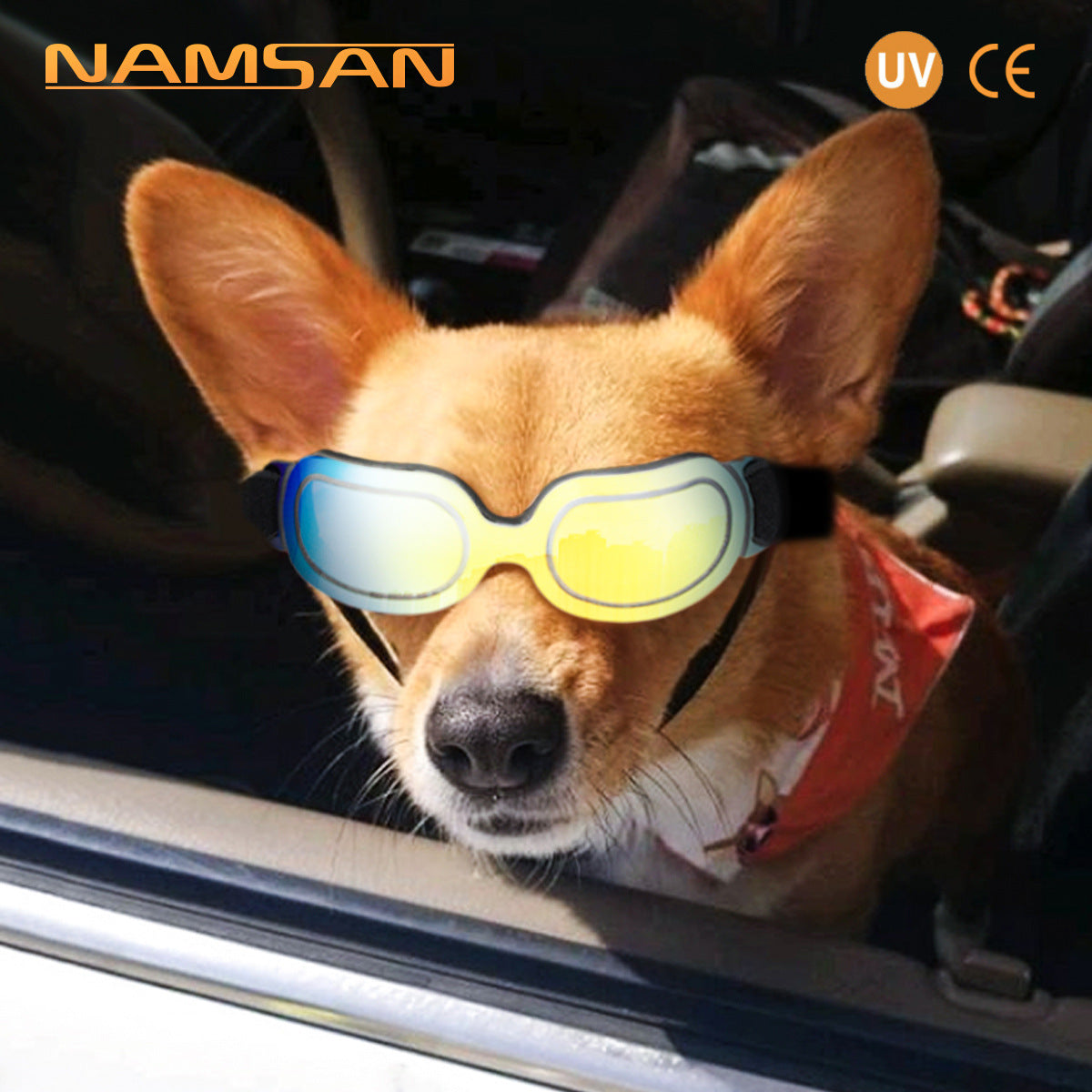 Pet supplies colorful dog glasses sunglasses cat sunglasses