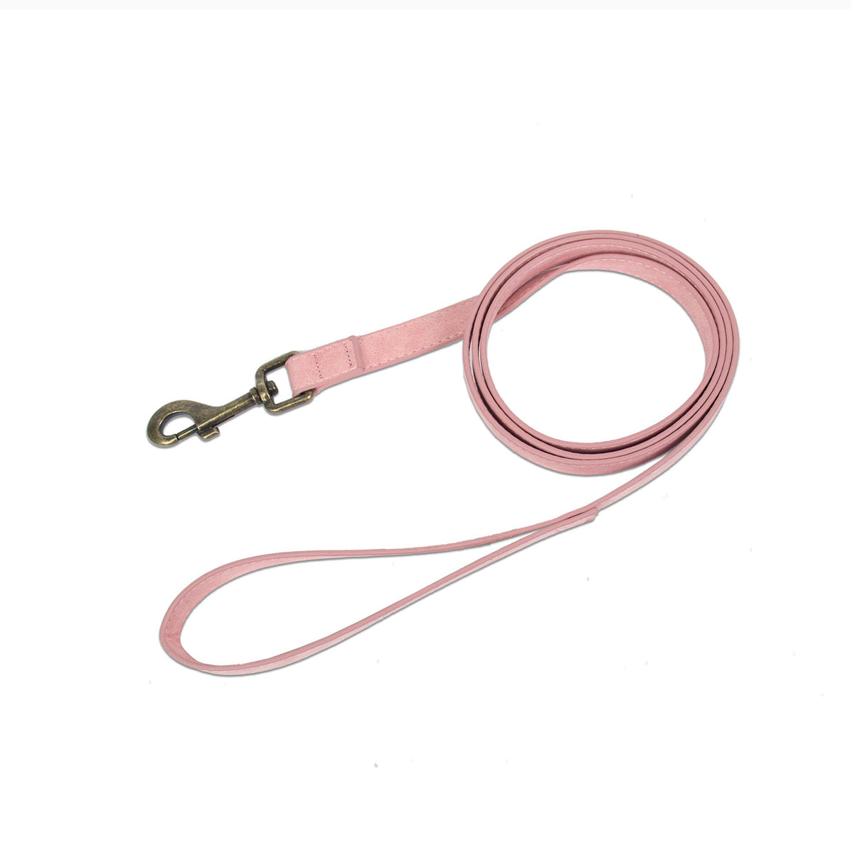 Retro Fashion Pet Leash And Collar Set