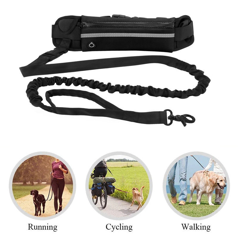 Pet Training Multi-Pocket Lightweight Leash