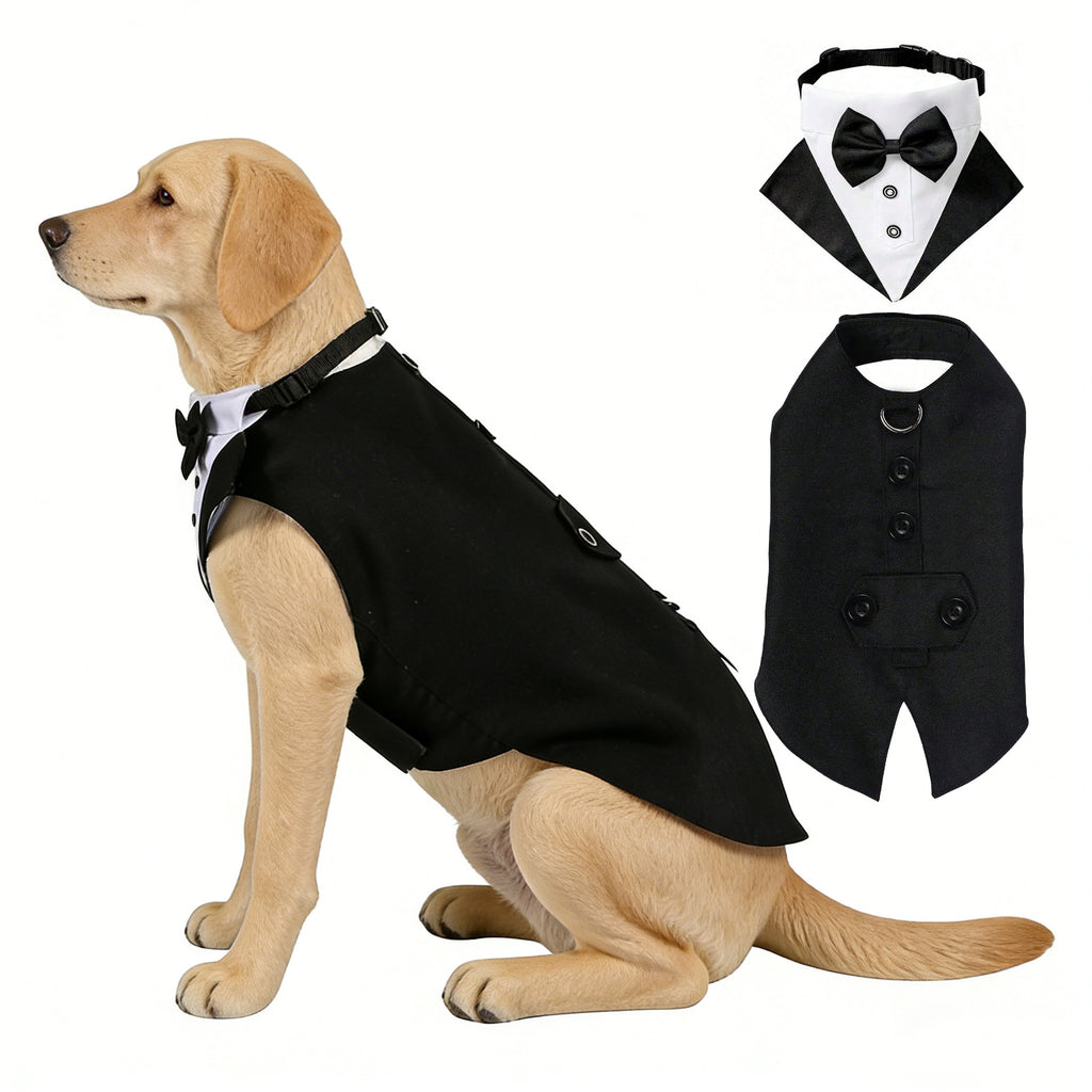 Creative All-Match Pet Clothes And Scarf Set