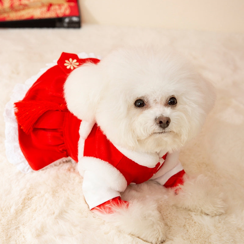 New Year Pet Tang Suits, Lion Dance Couple Cotton-padded Clothes, Festive Dog Clothes, Cat Two-legged Warm Dog Clothing