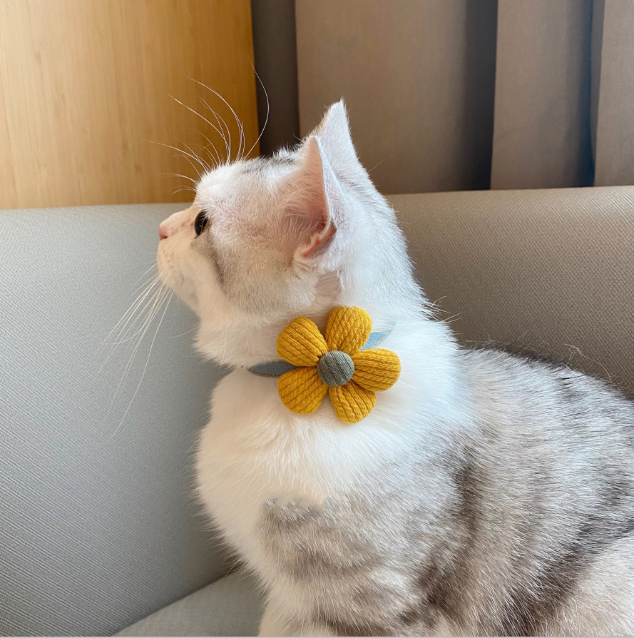 Kitten Floral Bow Tie Collar