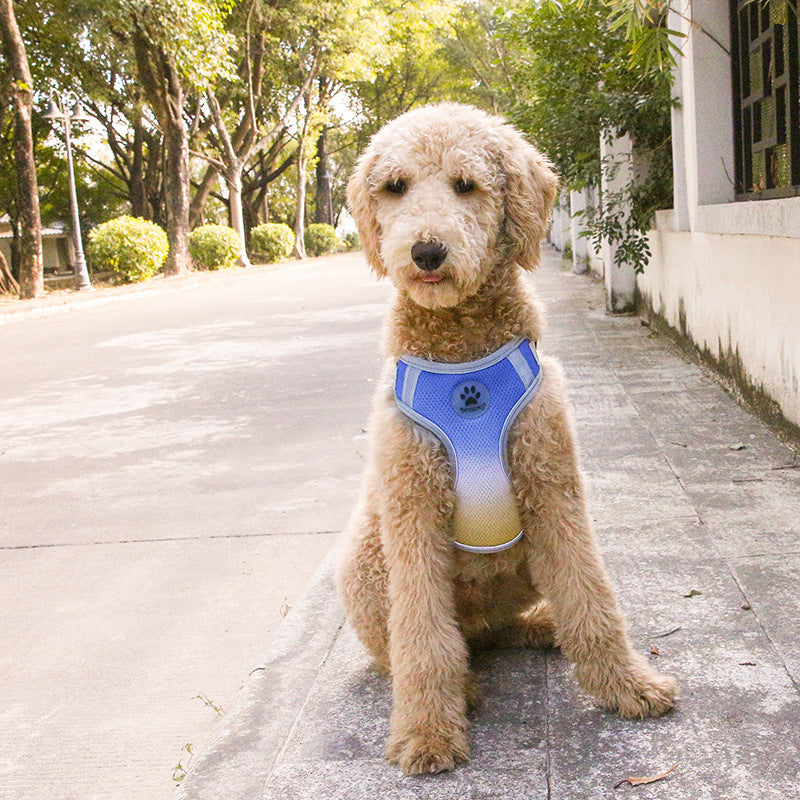 Pet Chest Strap Gradient Color Double Reflective Dog Chest And Back