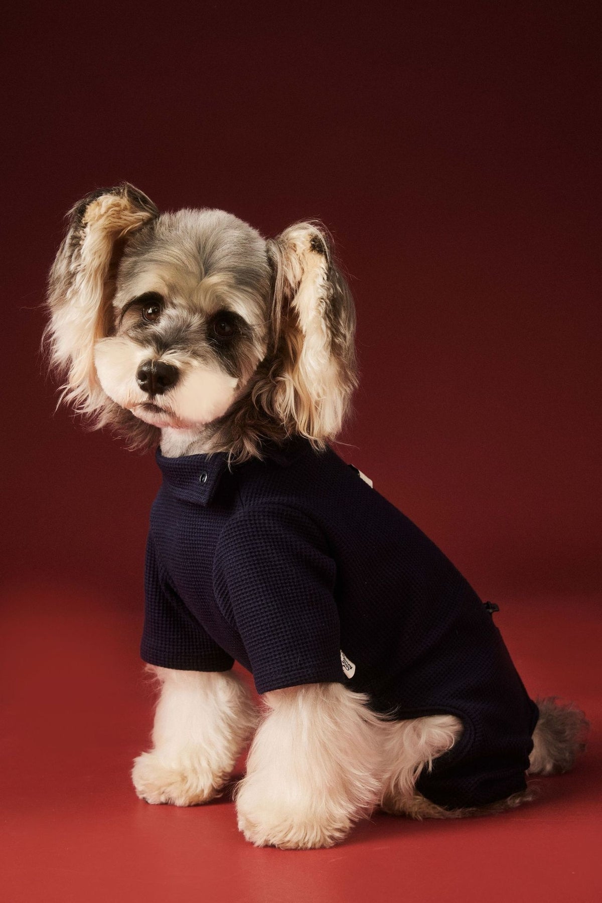 Tony Bear Dog Clothes Autumn And Winter Waffle Four-legged Pet Clothing