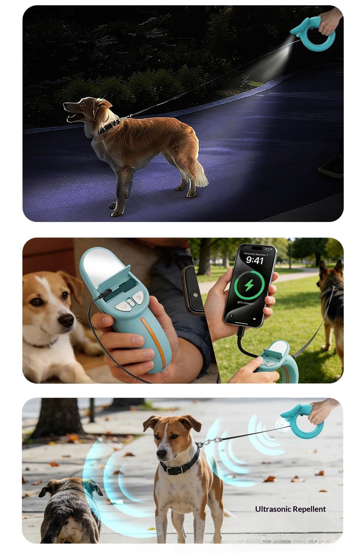 Guardian Leash