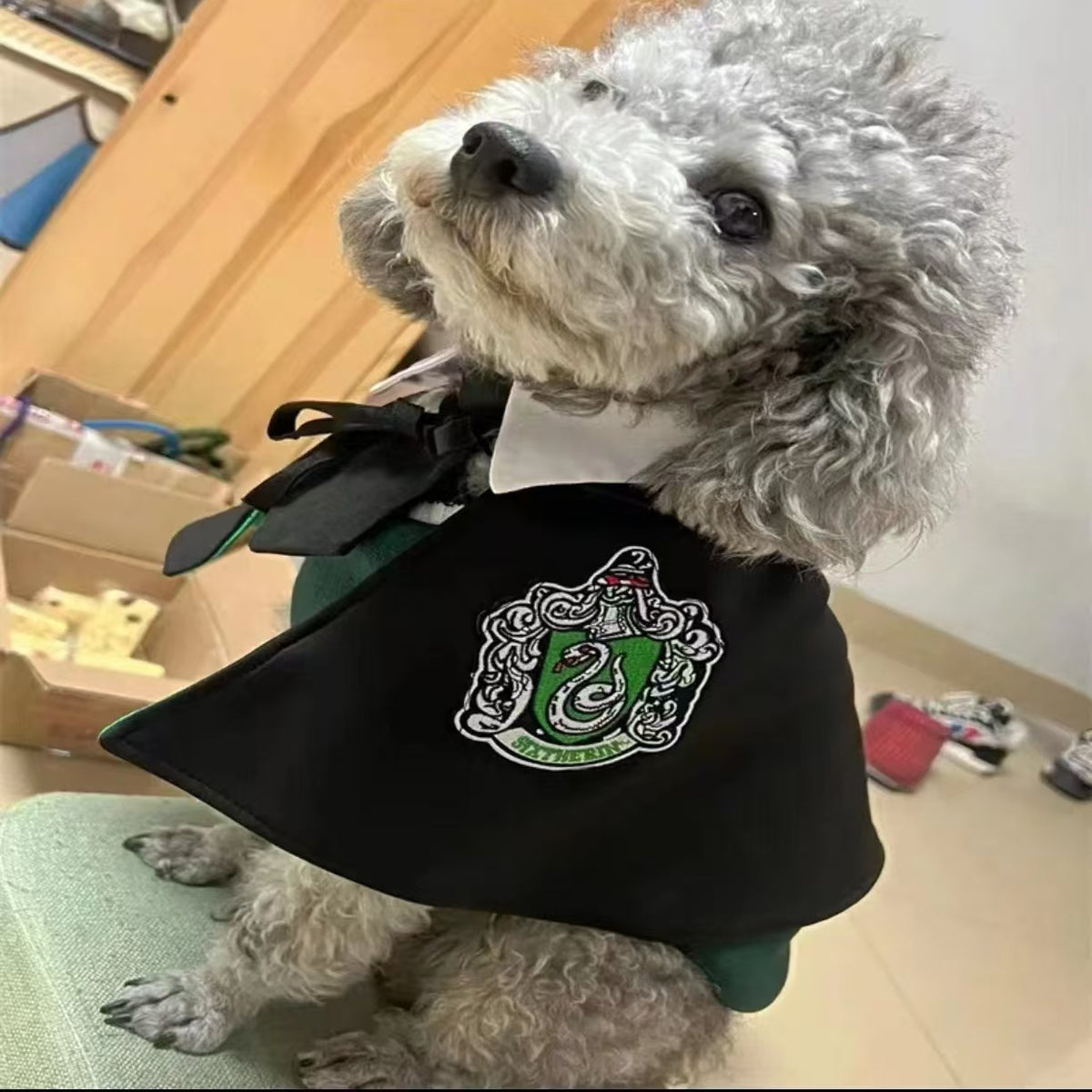 Pet Cat Dog Magic Harry Potter Glasses Small Cloak Robe Shawl College Internet Celebrity