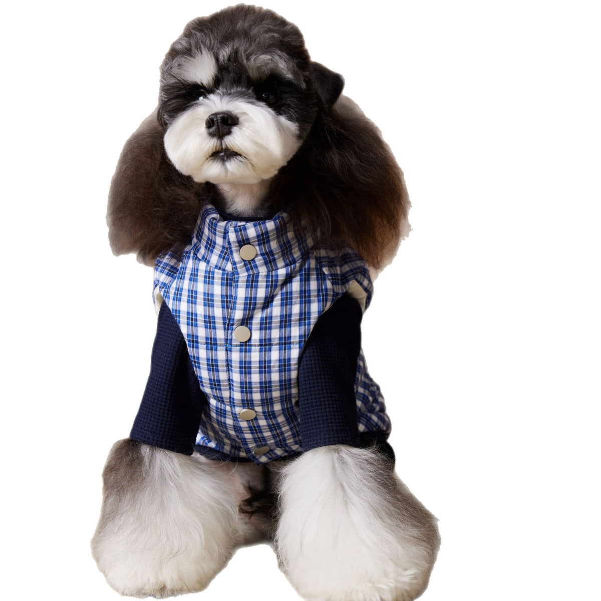 Dog Clothes Autumn And Winter Down Vest
