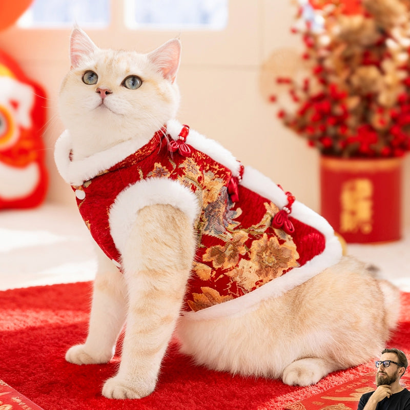 In Autumn And Winter, Cats Keep Warm. Chinese Style Of Wealth And Prosperity Bloom. New Year, Button-down Vests, Tang Suits, Little Dogs