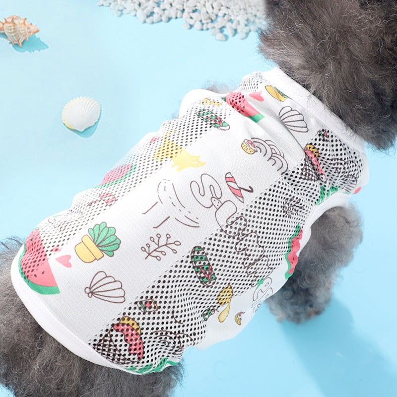 Maltese Puppy 3-month Vest