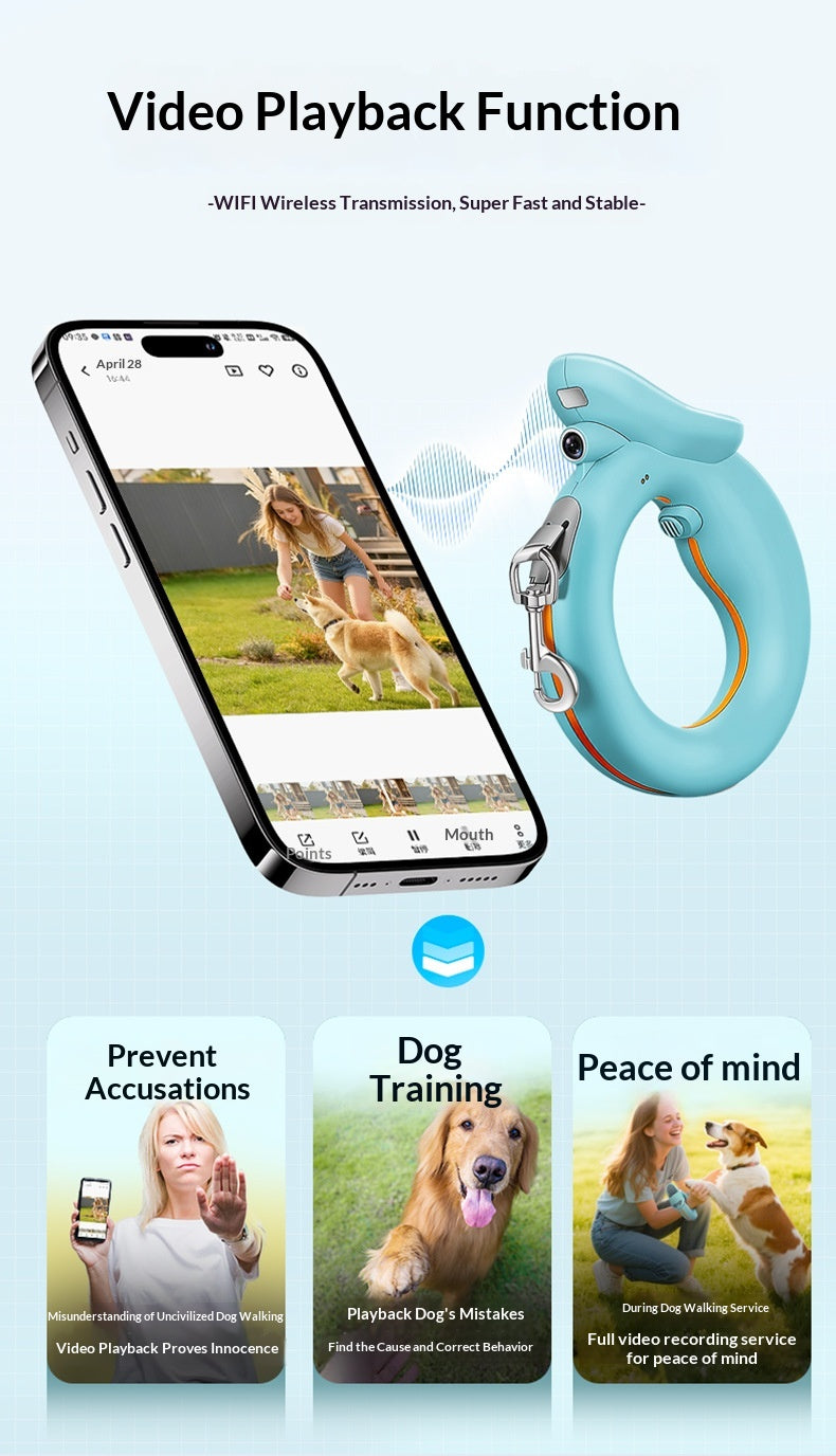 Bright Safe Leash