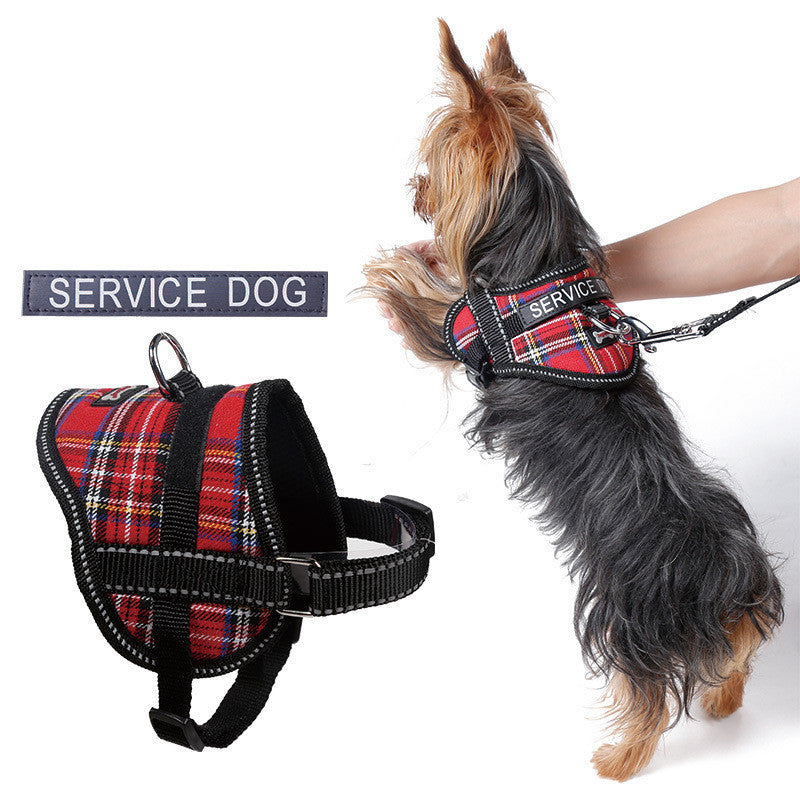 Reflective seat belt slogan dog chest back cover traction rope