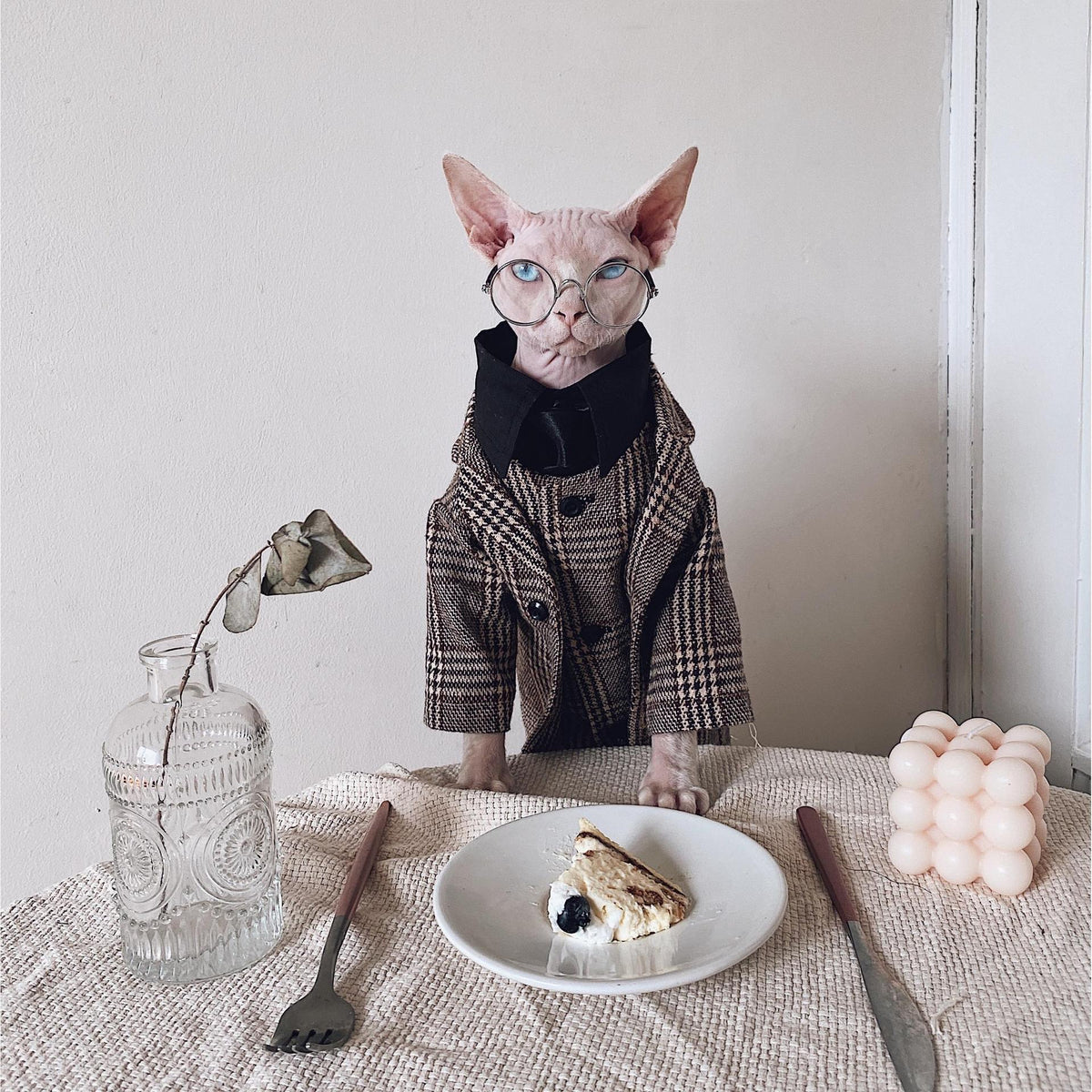 Sphynx Cat Dress Shirt Tie Vest Blazer Set For Hairless Cats