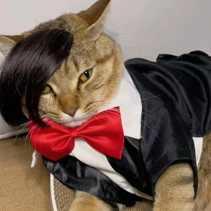 Pet Wig Fox Cat Funny Dress Up