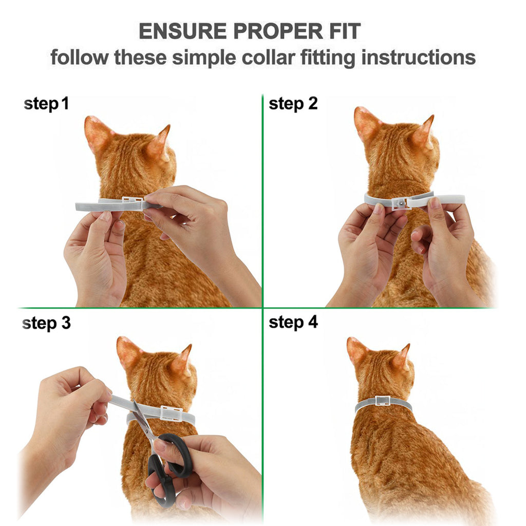 Pet Insect Repellent Adjustable Collar Supplies