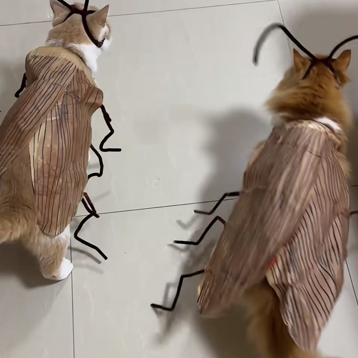 Pet Toy Cockroach Clothes Non-woven Handmade DIY Material Package Kitten Clothes