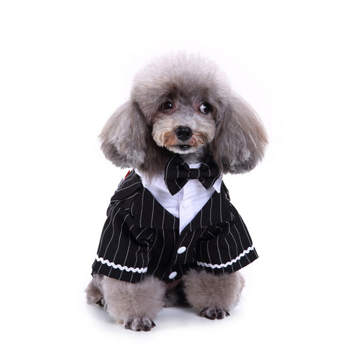 's pet dog clothes suit