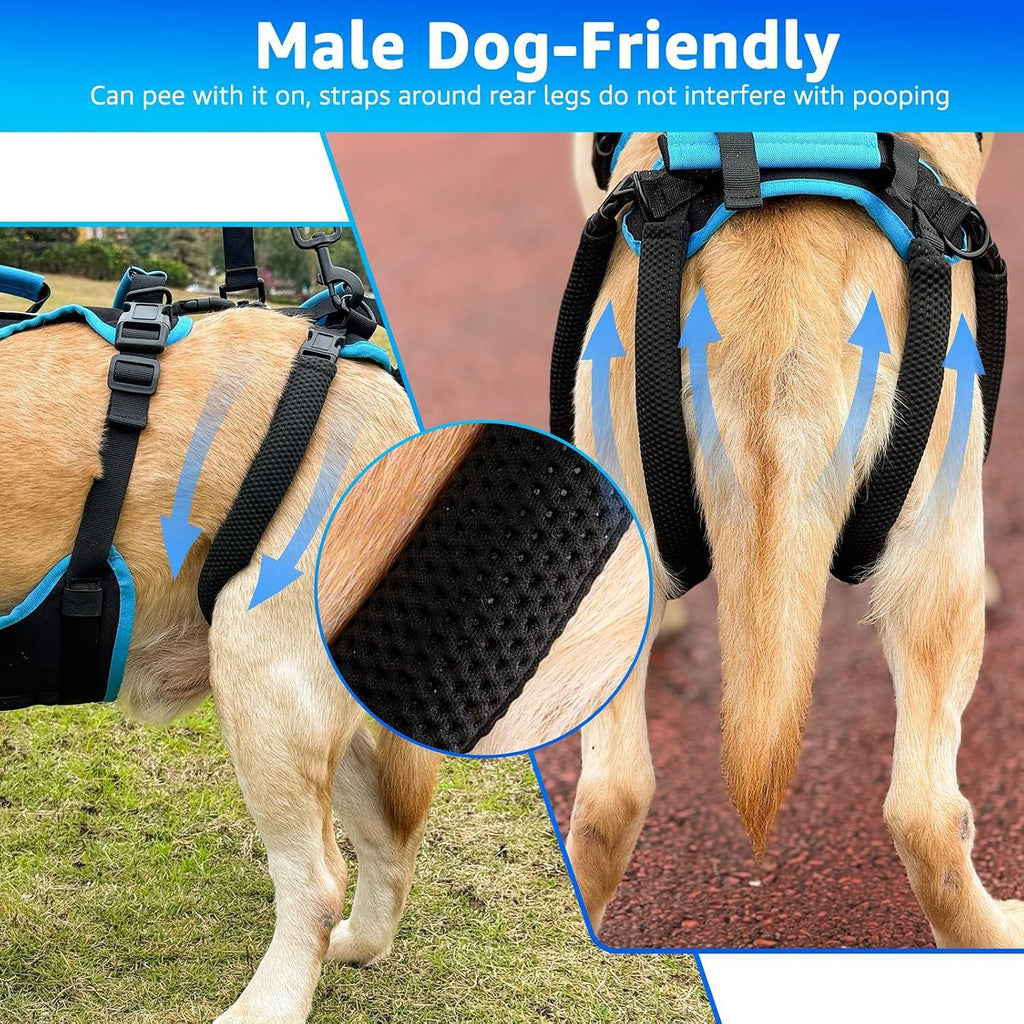 Walking Rehabilitation Training Aid For Senior Dogs Large-breed Dog Harness