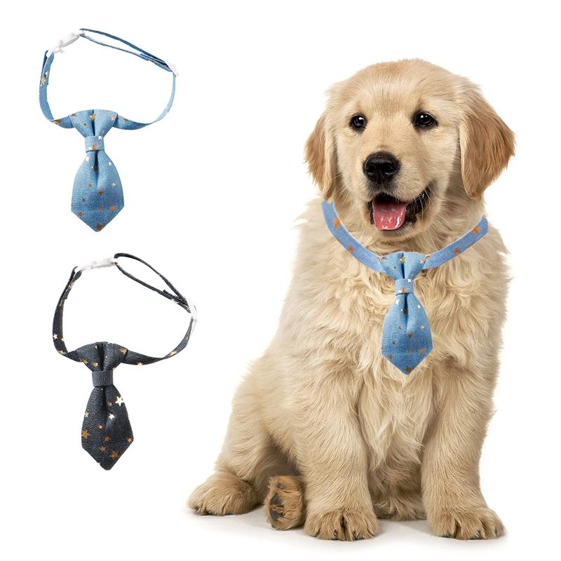 Designer Dog Collar For Small Medium Dogs Long Tie Golden Star Fancy Neck Wear Adjustable Animal Decoration Pet Cat Accessories