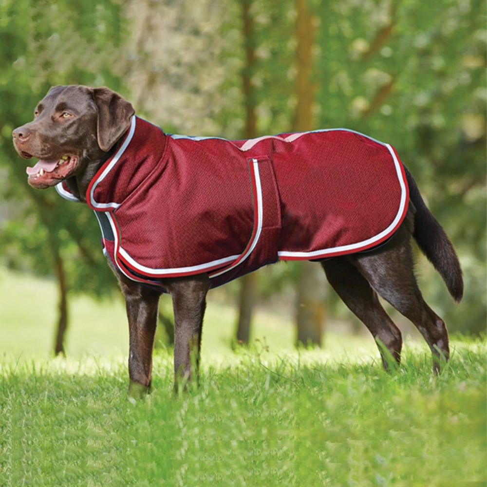 Autumn And Winter Warm Pet Leisure Waterproof Jacket