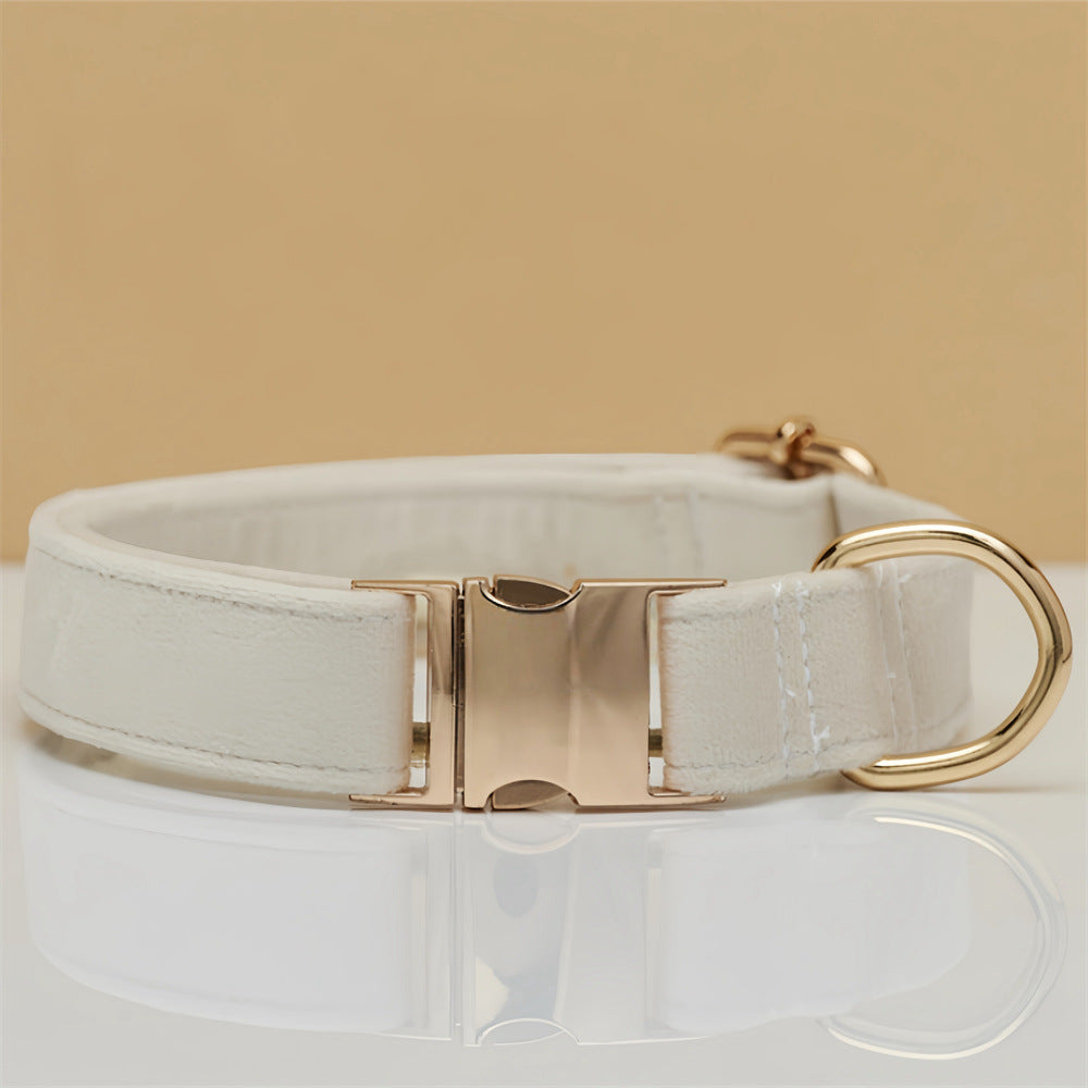 Solid Color Simple Pet Dog Collar Hand Holding Rope