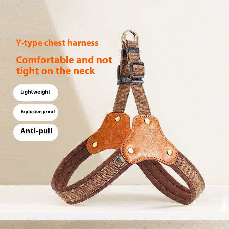 Leash Chest And Back Small Dog