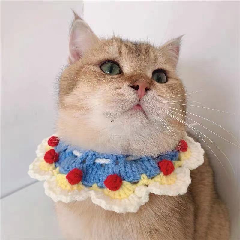 Knitted Collar Cat And Dog Scarf Posing Accessories