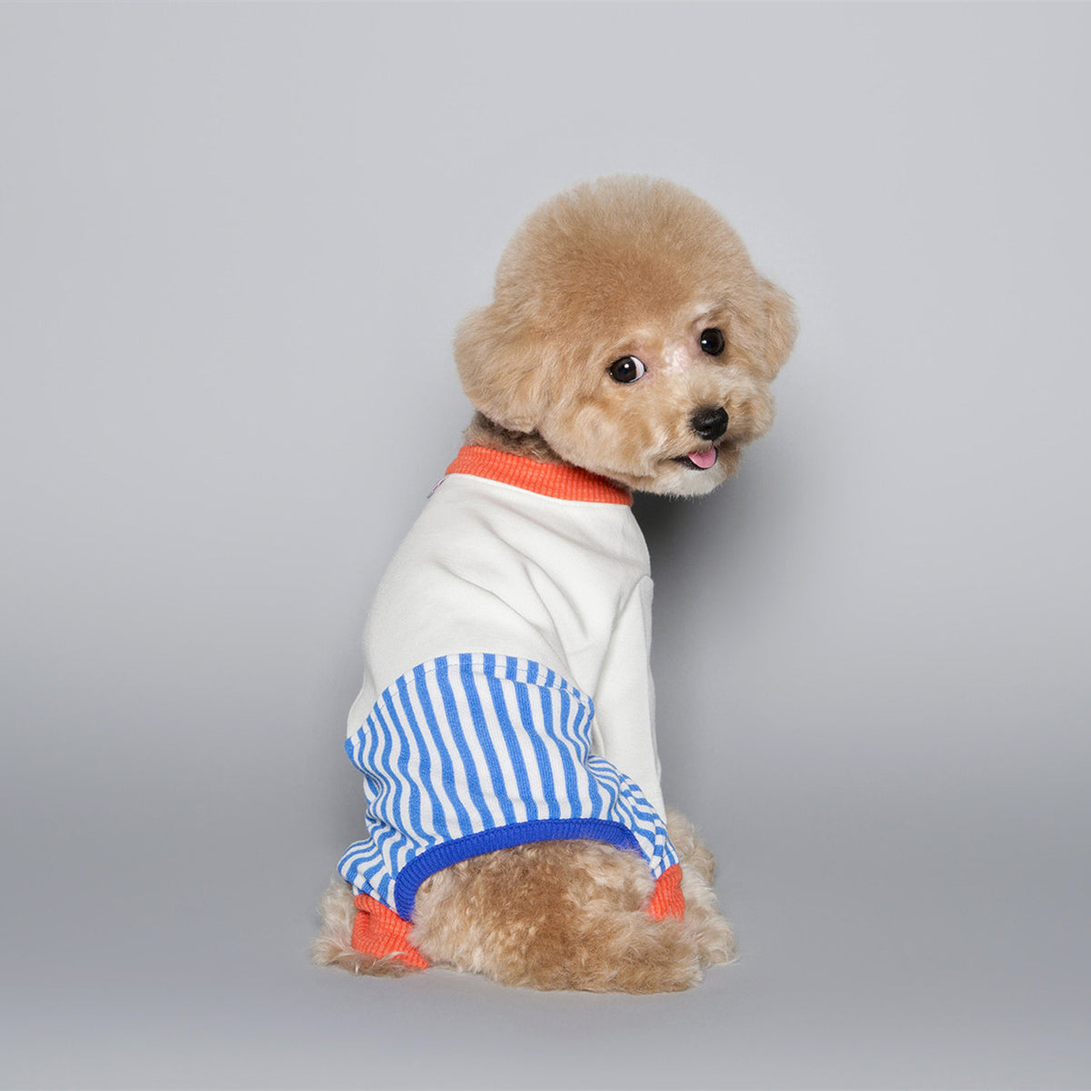 Pet Dog Fashion Color Blocking Jumpsuit