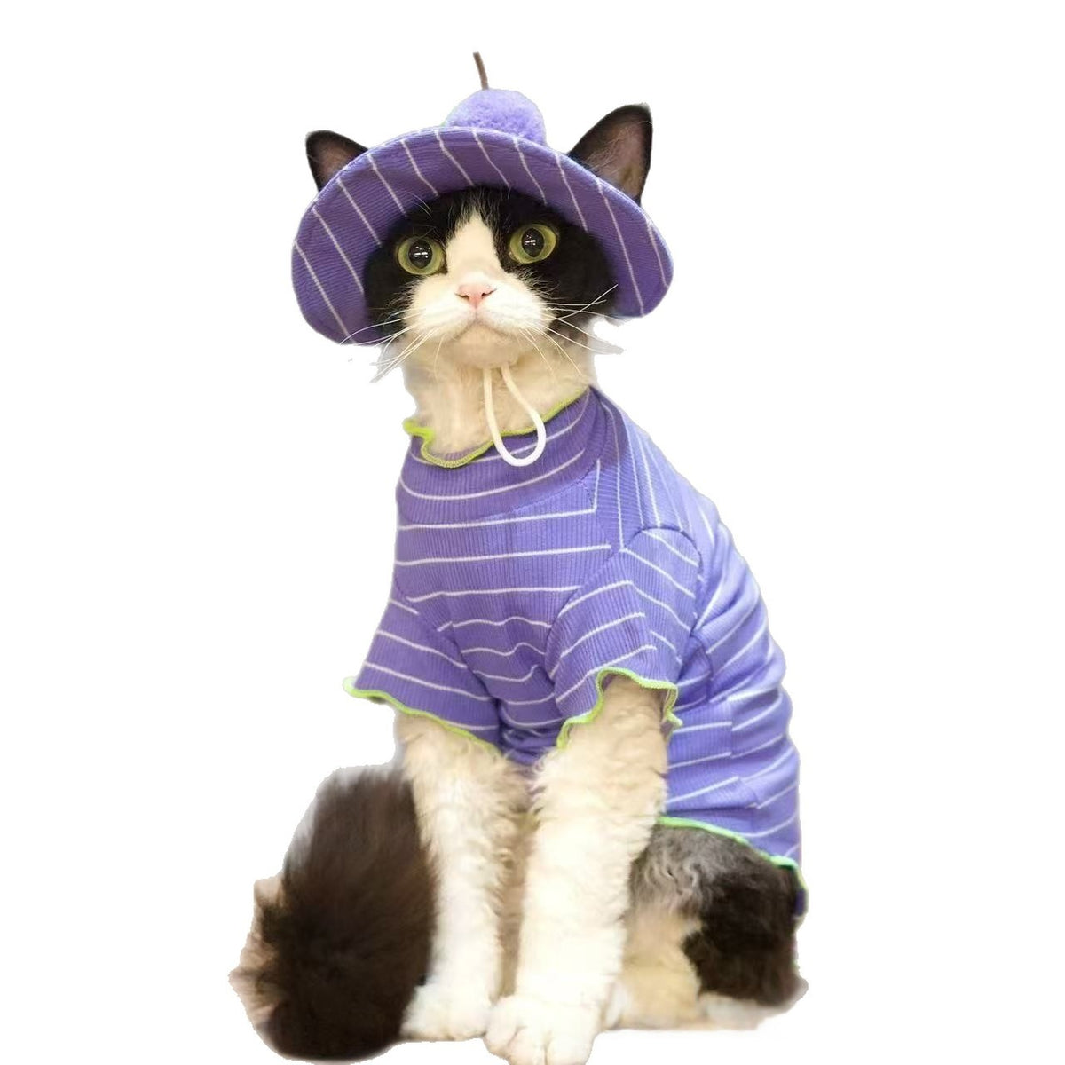 Cat Purple Striped Summer Outfit T-Shirt And Grape Sun Hat 2 Piece Set