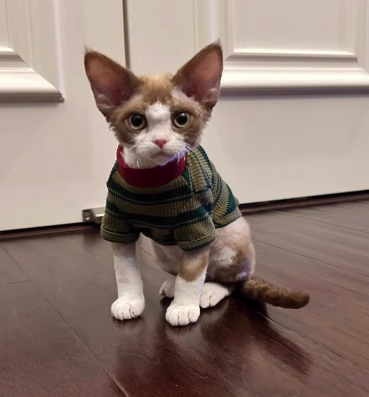 A Cute Green Striped Two-legged Vest
