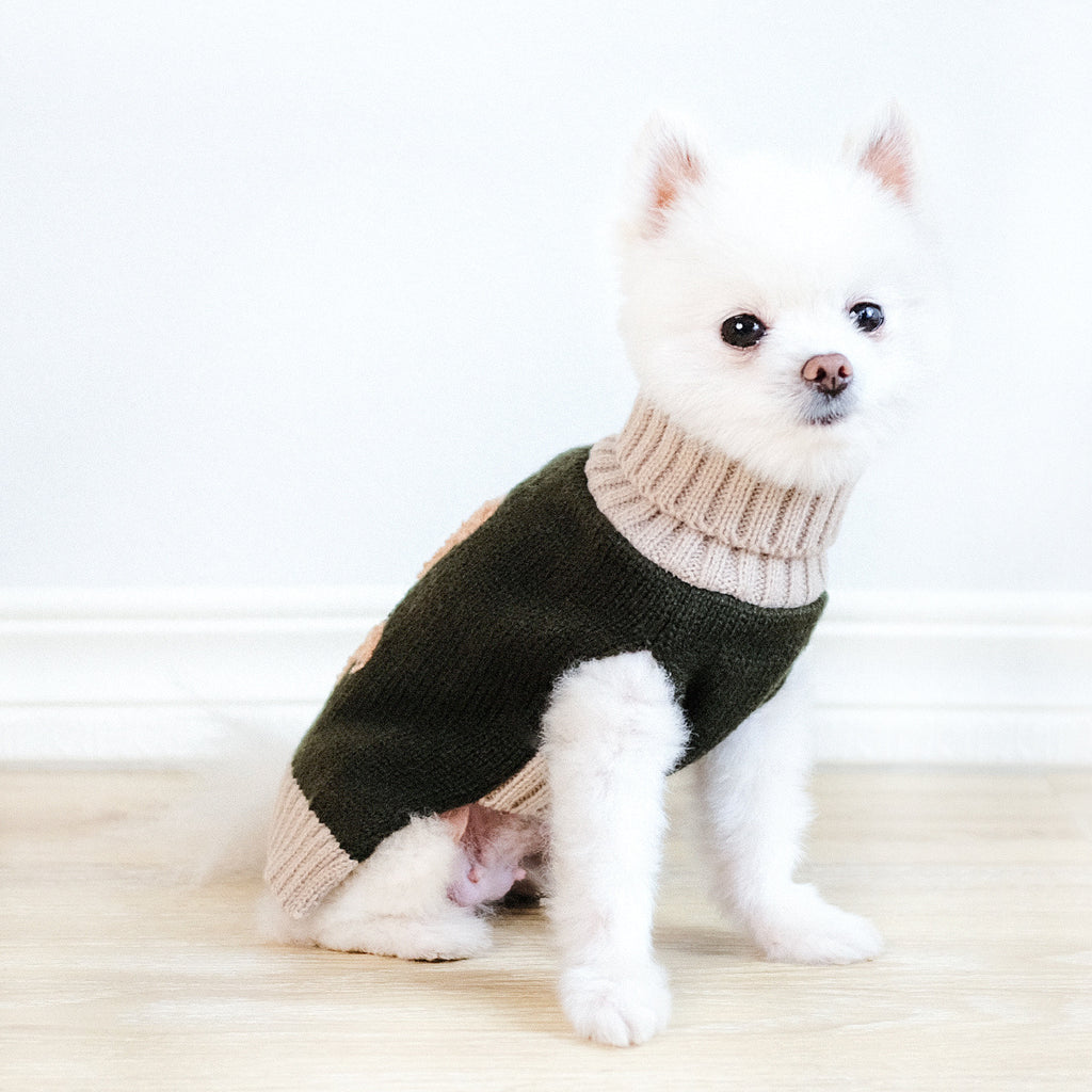 New Autumn And Winter Simple Bear Army Green Dog Sweater