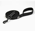 Dog Leash, Anti-pull Walking Leash For Pets