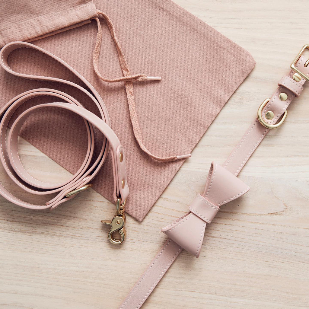 Pet Cute Bow Collar Leash Set