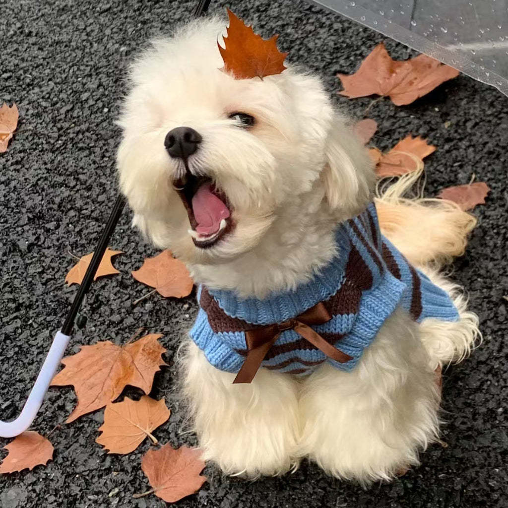 Warm Sweater For Small And Medium-Sized Dogs And Cats