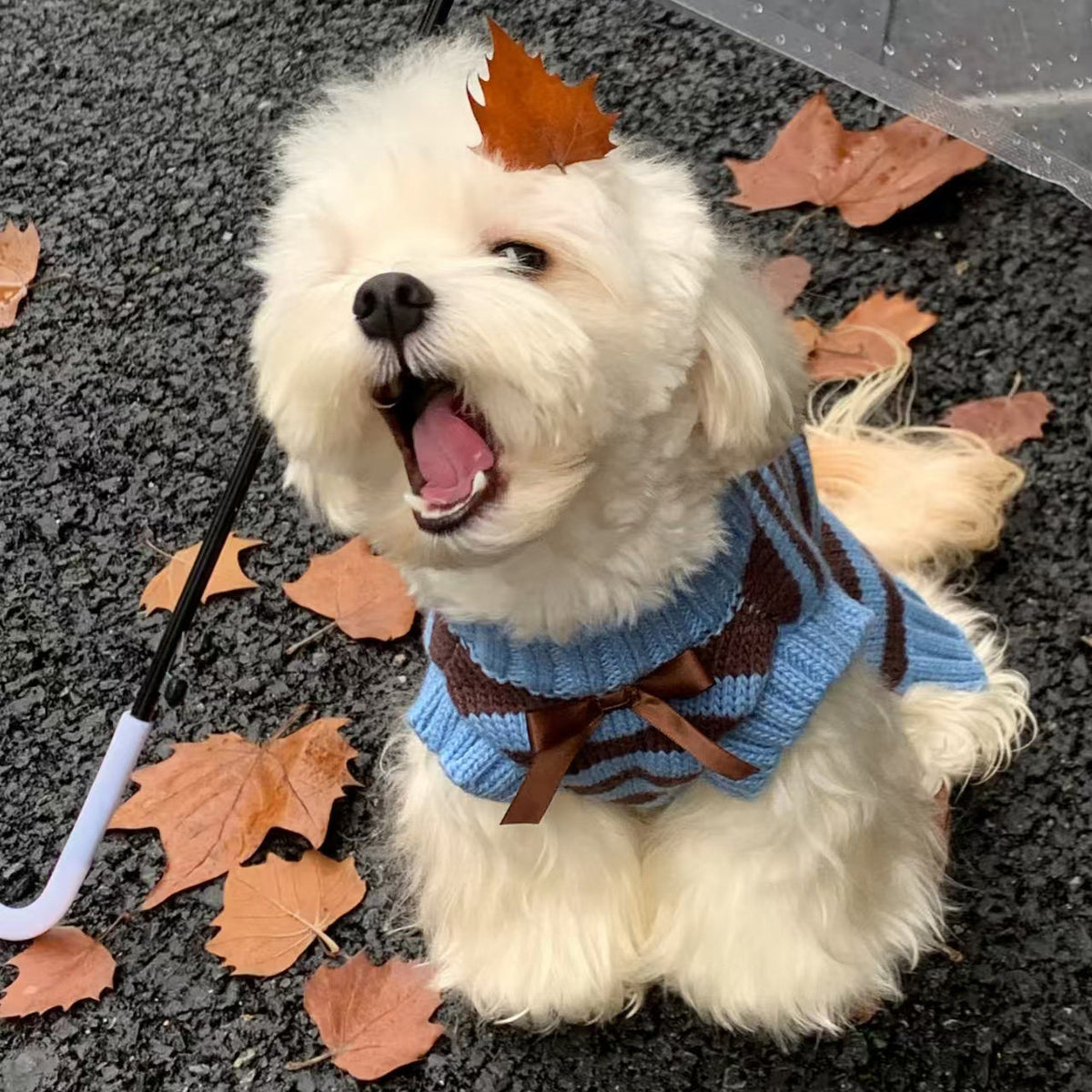 Warm Sweater For Small And Medium-Sized Dogs And Cats