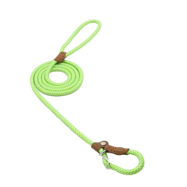 Strong and Sturdy Nylon Dog Collar, Lead, P Type