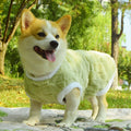 Dog Clothes Fall And Winter Medium-sized Anti-dirty Warm Padded Vest